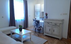 Apartman Zuki